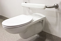 Toilet Seat Support Safety Rail