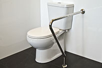 Toilet Support Safety Rail